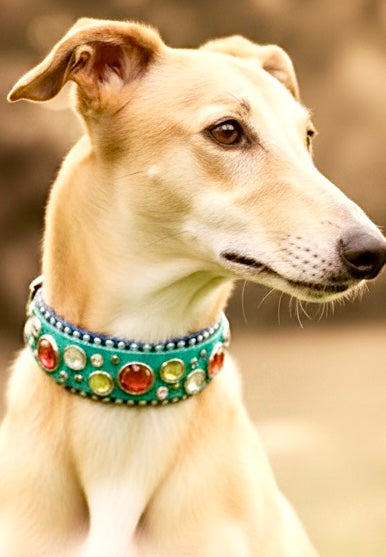 Custom Collar - Available