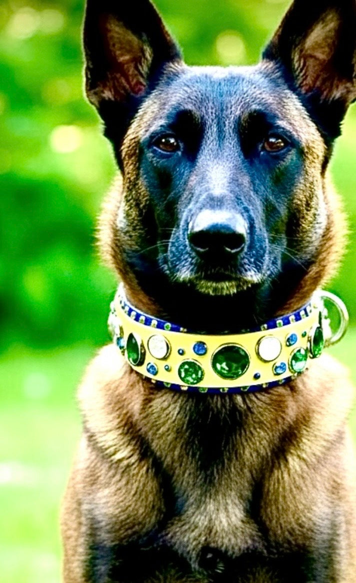 Custom Collar - Available