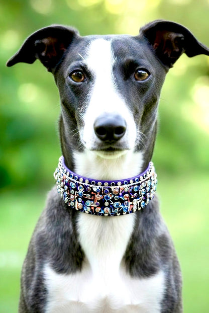 New Collar- Available