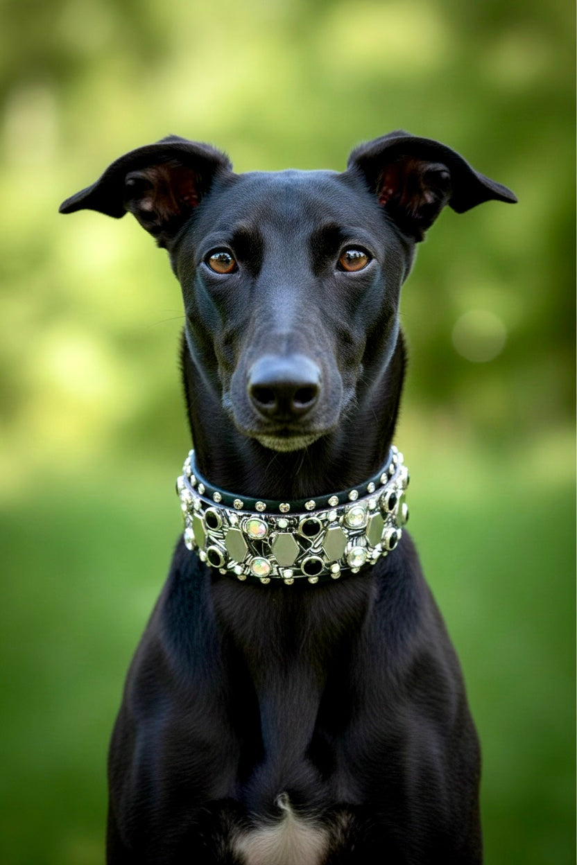 Custom Collar - Available