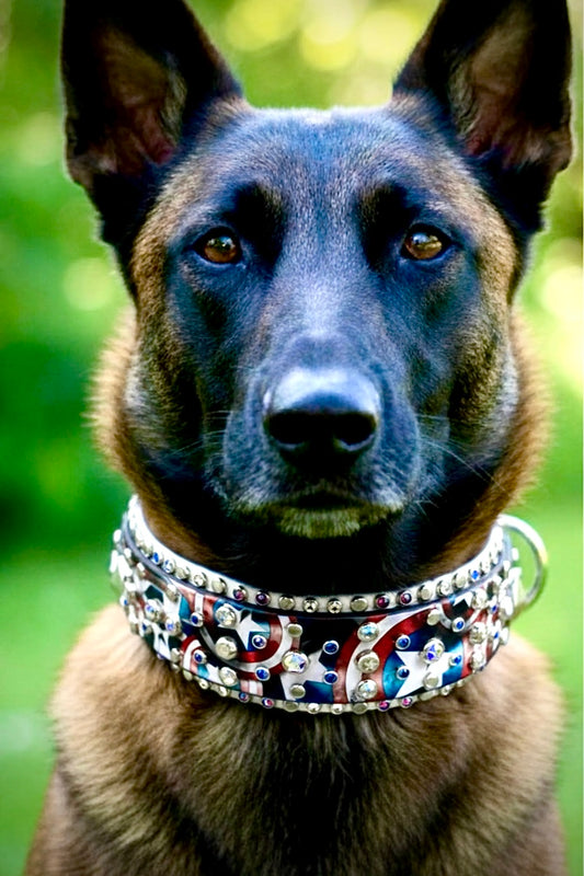 Custom Collar- Available