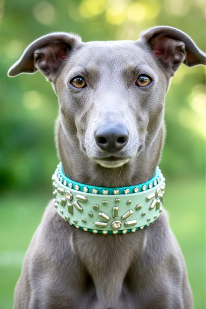 Custom Collar- Available