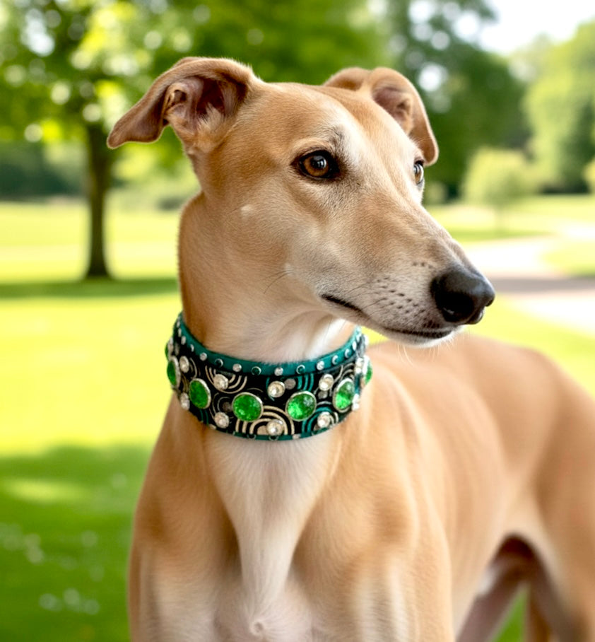 Custom Collar - Available