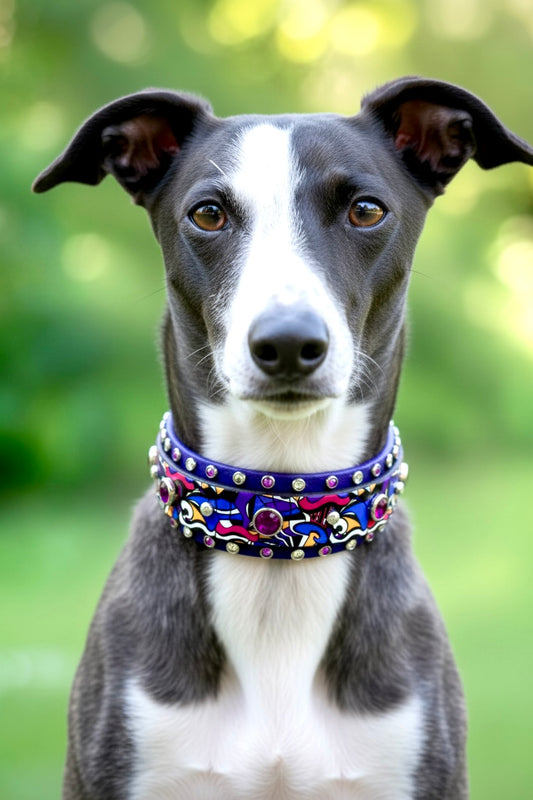 Custom Collar- Sold