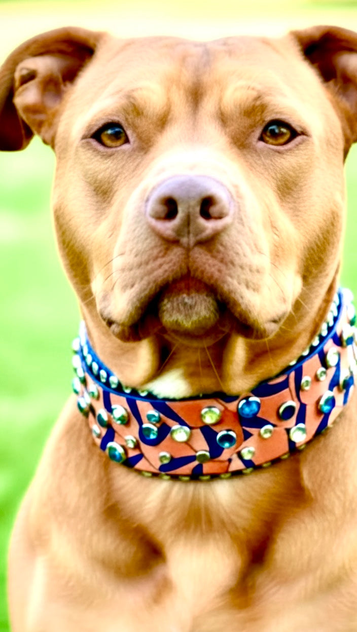 Custom Collar - Available