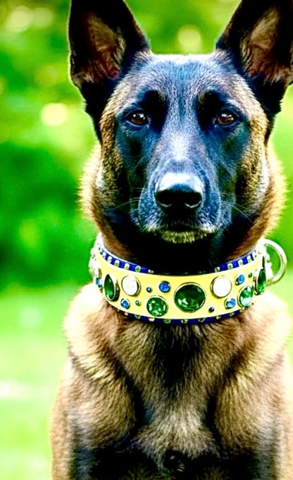 Custom Collar - Available
