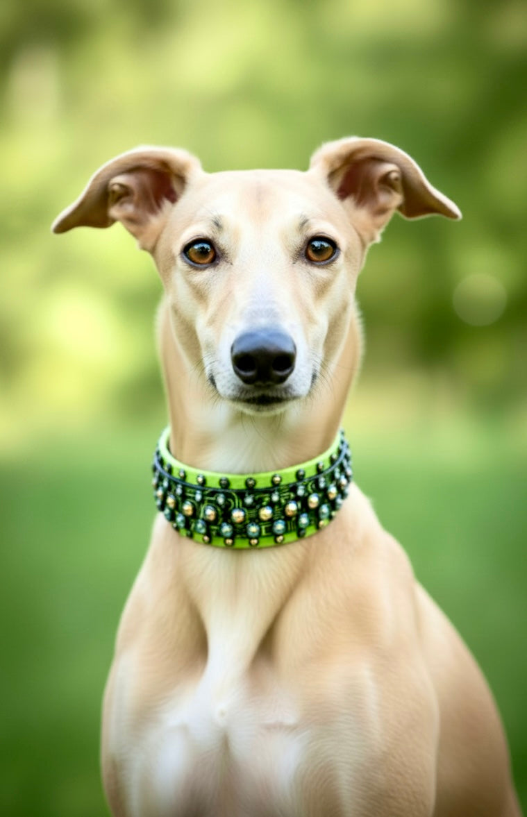 Custom Collar- Available