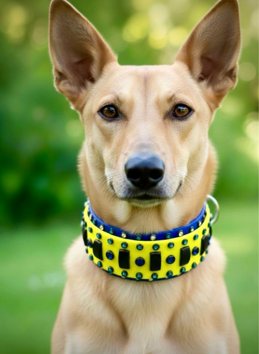 Custom Collar- Available