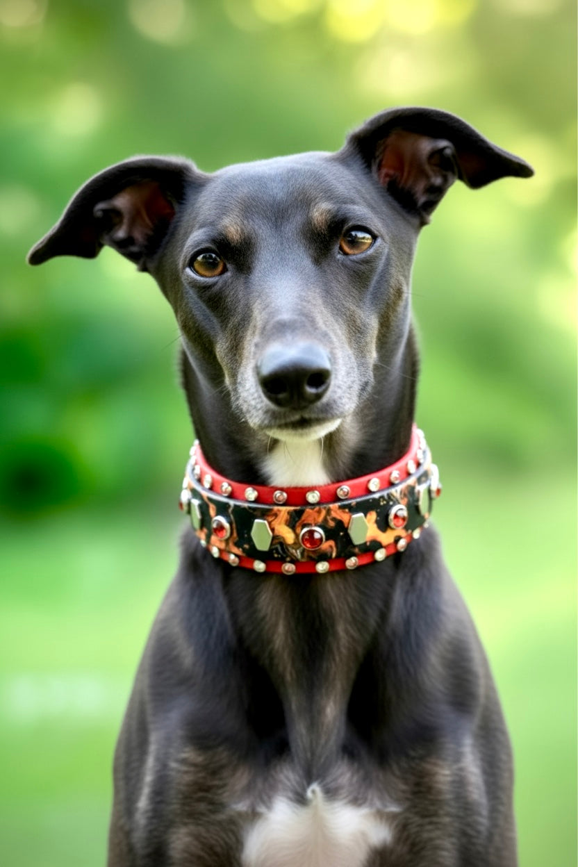 Custom Collar- Available