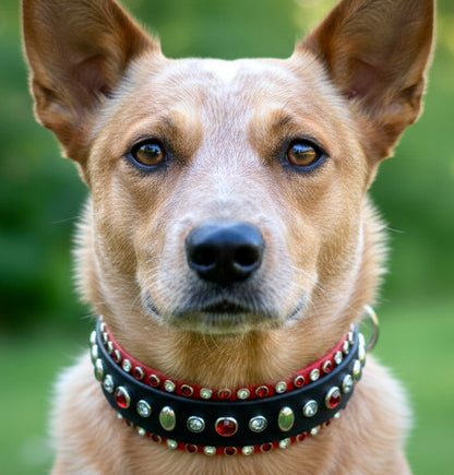 Custom Collar- Available