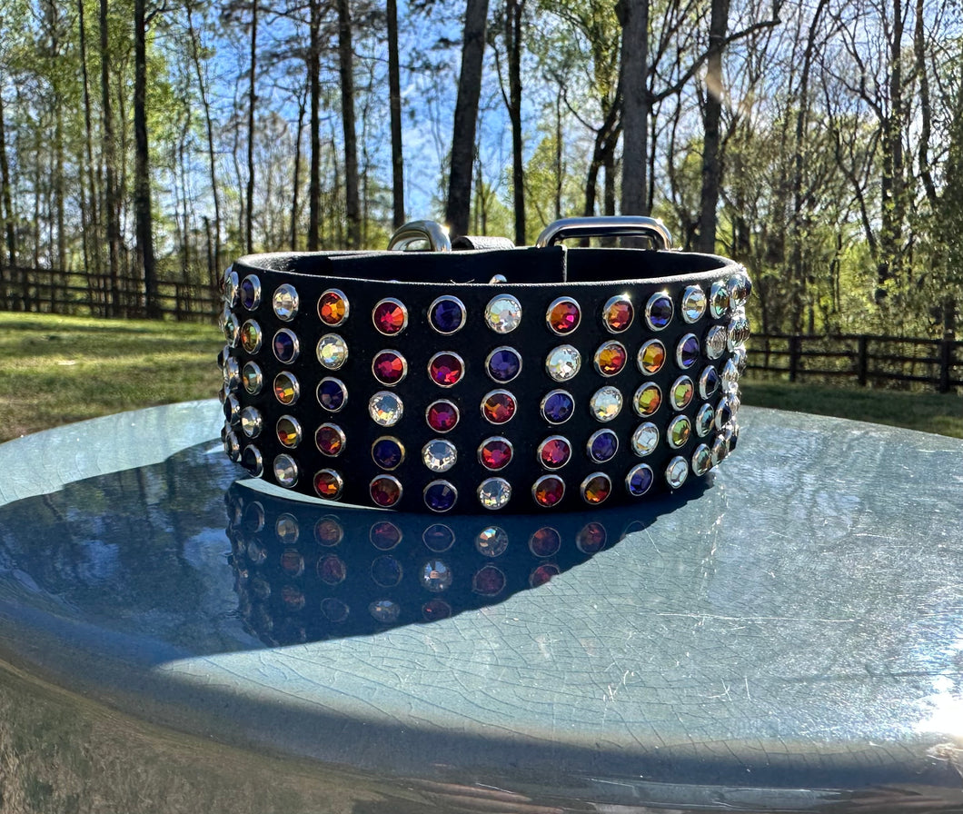 Custom Dog Collar- Biothane