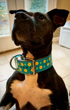 Load image into Gallery viewer, Custom Dog Collar- hand stamped and painted
