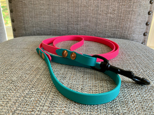 Four foot multi color biothane leash 