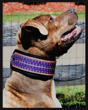 Load image into Gallery viewer, Custom Dog Collar- hand stamped and painted
